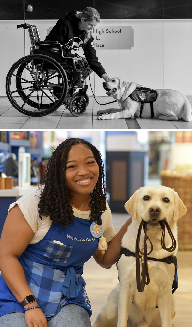 Service Dog Training