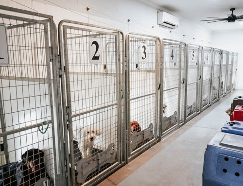 AmericanK9 Facility