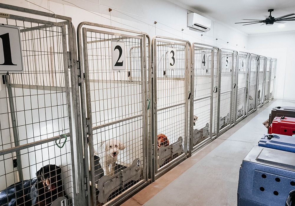 AmericanK9 Facility